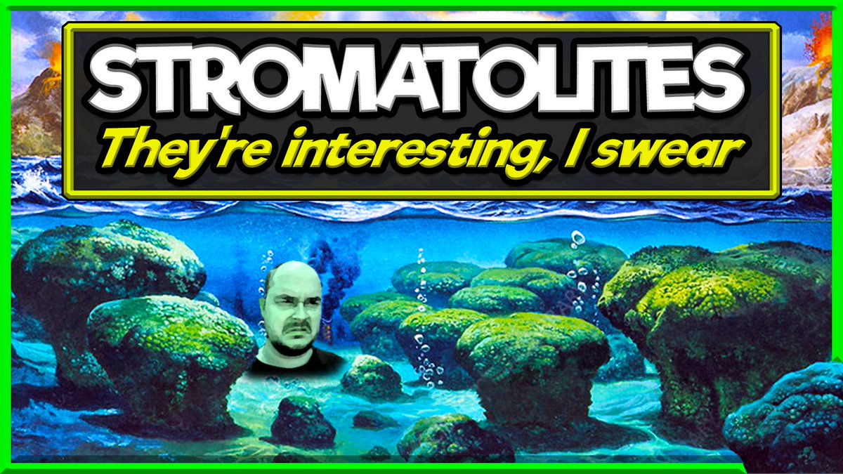 DreamWhaleTV's tweet image. If you were looking for a sign to watch a dope video about Stromatolites, this is it! 
Link below