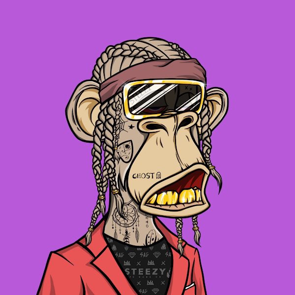 STZY APE GANG tweet media