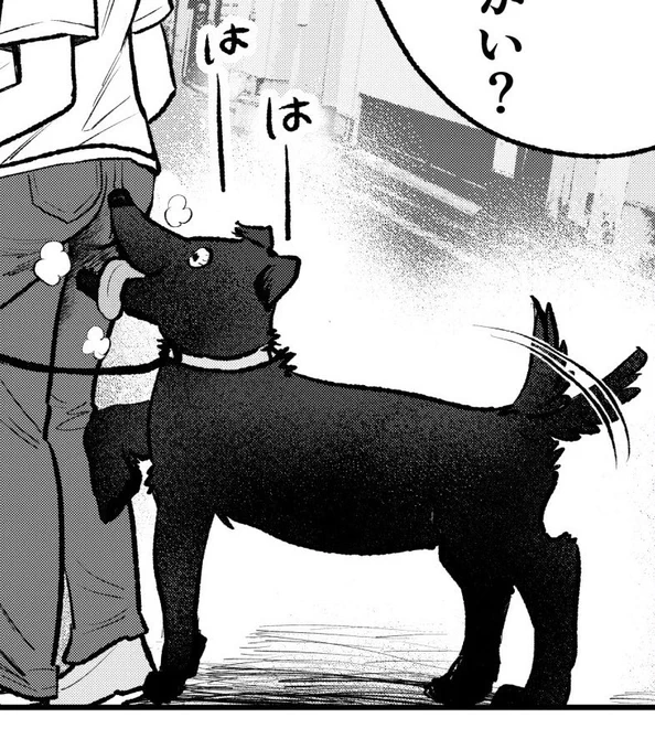 https://t.co/UwSGZrZXz7

小麦粉パトラッシュという曲を作りました!

本当は一年前くらいに作ったのですがなんか恥ずかしい曲だなと思ったのでお蔵入りしようかと思ったんですが、この漫画に合ってたので載せることにしました 
