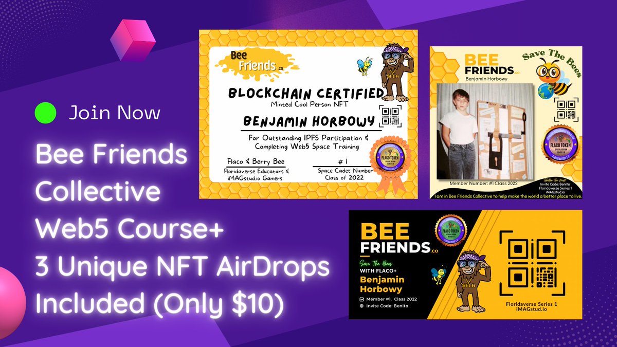 BeeFriendsCo's tweet photo. @BeeFriendsCo just dropped a $10 NFT Starter Kit. It comes with a quick fun course and 3 different airdrops with access to perks. https://t.co/UMT7TOySw4 https://t.co/4yq1L7Mvhg