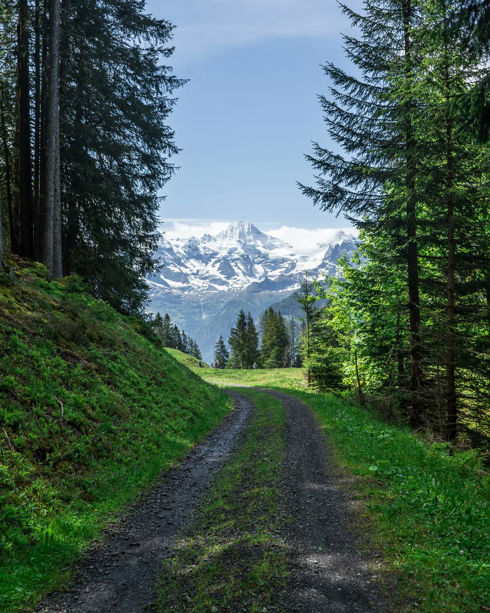 Jungfrau Region tweet media