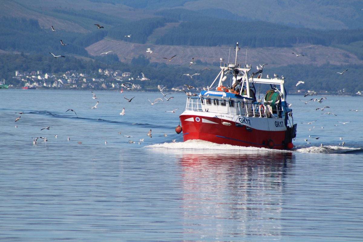 LearnerWcs's tweet image. Fishing boats on the Firth of Clyde #GuideUs #GuideMe #GuideThem #TayLee #Bute #Gourock