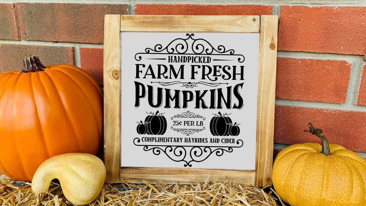 CraftlabSVG's tweet photo. Handpicked Farm Fresh Pumpkins SVG for Cricut, Silhouette and other cutting machines.
Shop Now:๐
https://t.co/sjbnRtrqbp
#pumpkin #pumpkins #fall #falldecor #autumn #autumndecor #farmhouse #farmhousedecor #homedecor #signs #farmhousesign #fallsign #svg #handmade #craft #SVG https://t.co/vhSHwlN5VX