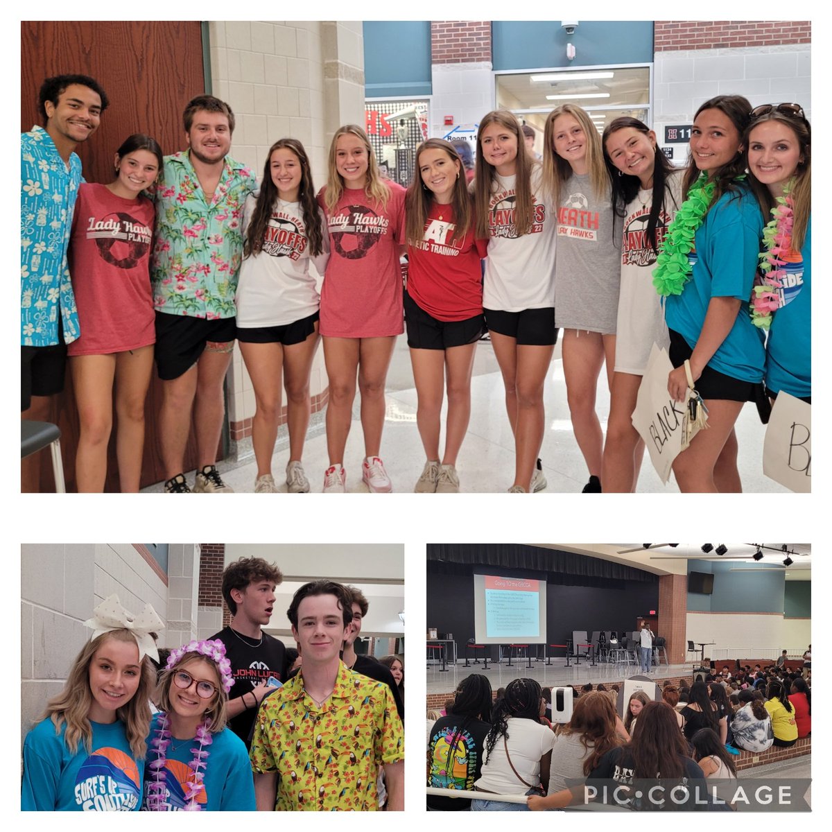 Carol Rosales tweet media