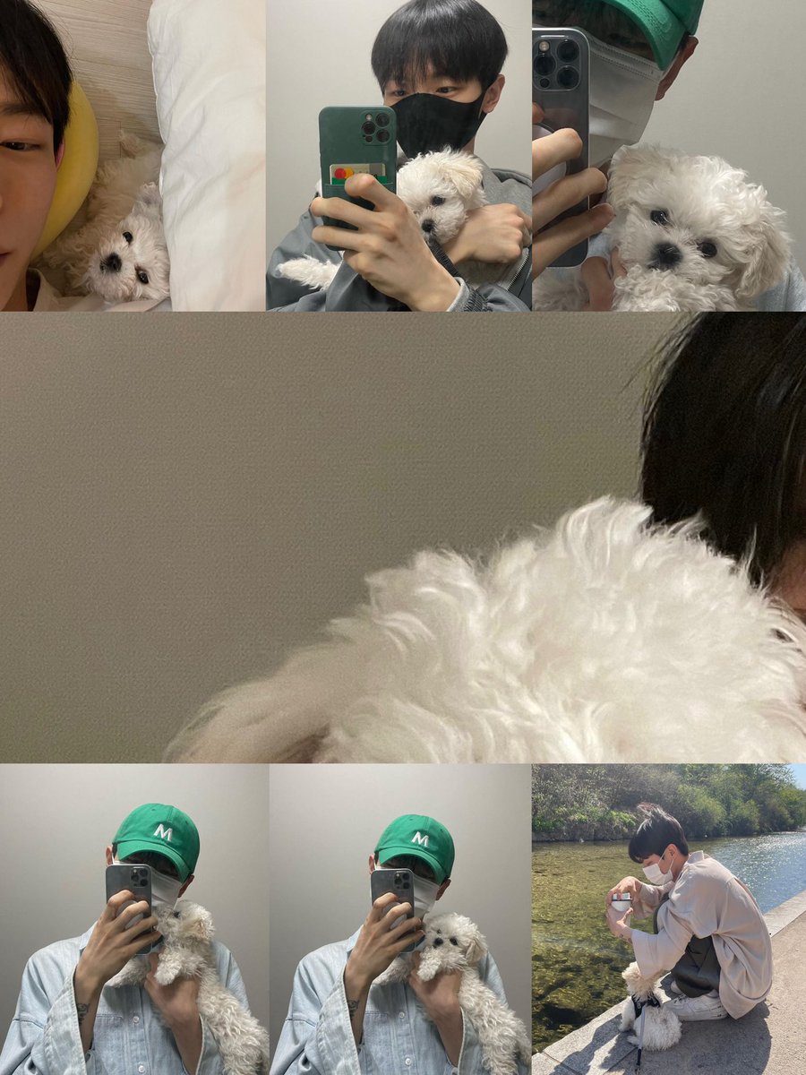 613_days's tweet photo. 예찬 설이 사분할🤍 #신예찬
🐶 클릭해보세용 🐶 https://t.co/u6aKvvwyBI