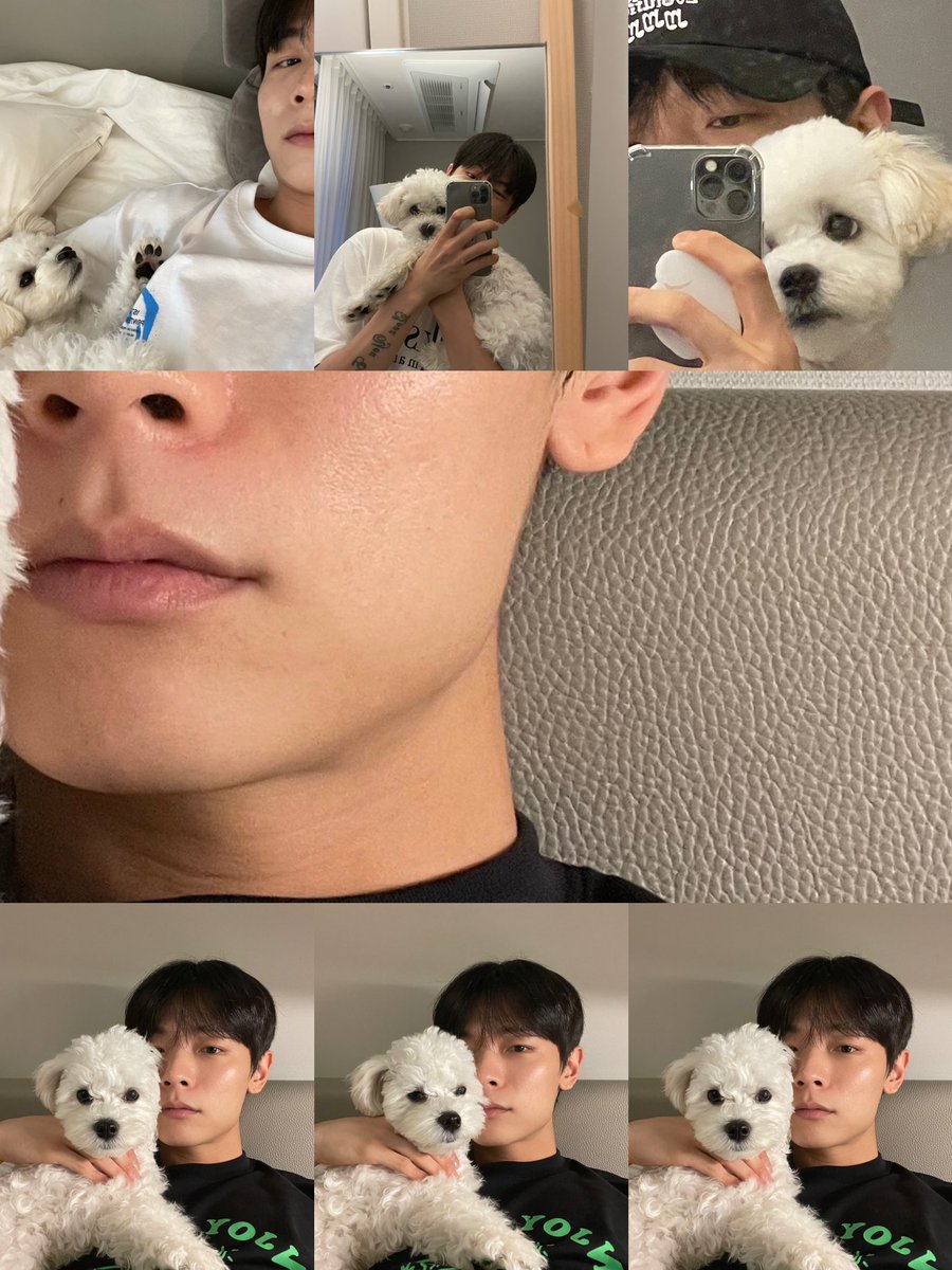 613_days's tweet photo. 예찬 설이 사분할🤍 #신예찬
🐶 클릭해보세용 🐶 https://t.co/u6aKvvwyBI
