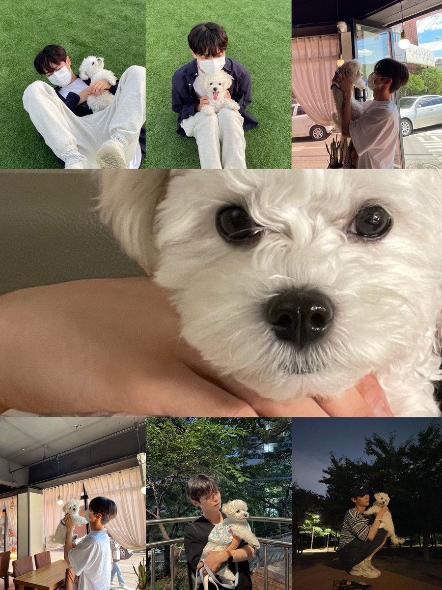 613_days's tweet photo. 예찬 설이 사분할🤍 #신예찬
🐶 클릭해보세용 🐶 https://t.co/u6aKvvwyBI
