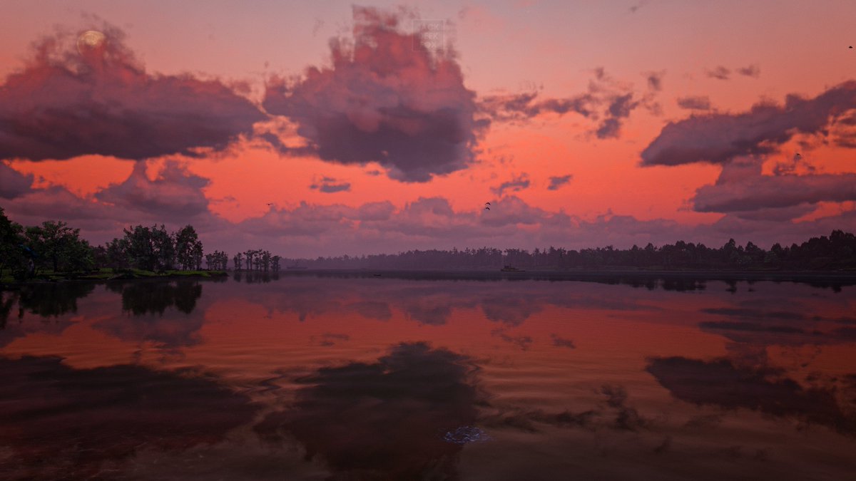 JackDeekFox's tweet photo. Afterglow ✨
#SimpleShotSaturday | #TCCGradients
#RedDeadRedemption2 #WVPLandscape #VirtualPhotography #VPRT #VGPUnite #VPGraph #TheMoodChallenge https://t.co/vaaCjgFBwI