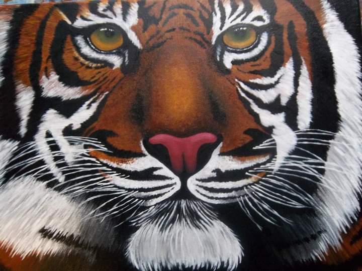 BronzeRose33's tweet photo. Acrylic painting on stretched canvas 
#art #painting #acrylicpainting #tiger https://t.co/0msnSVsnAL