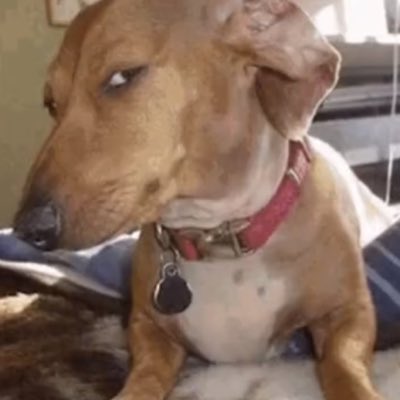 ompelukonemies0's tweet photo. #NewProfilePic https://t.co/EiETlZKTnS