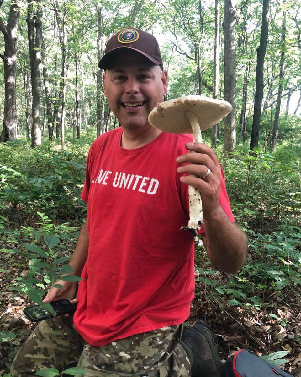 mfs3168's tweet photo. #sporeprint #fungi #fantasticfungi @fungiperfecti https://t.co/qgIA2JReUN