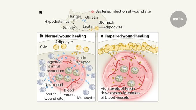 Rahim Azizian tweet media