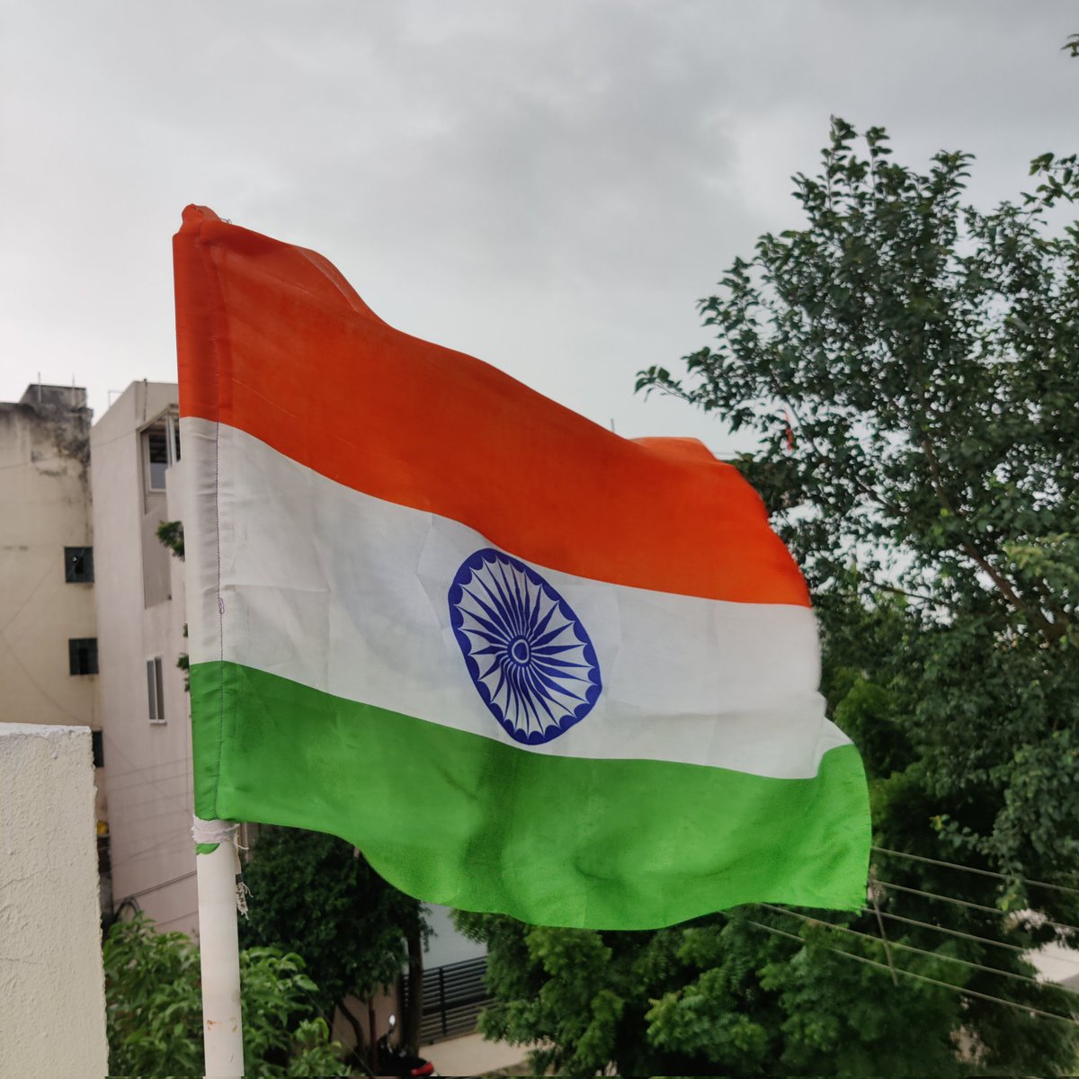 SrajanSAGRE's tweet photo. #NewProfilePic https://t.co/dBgnyCm2mo