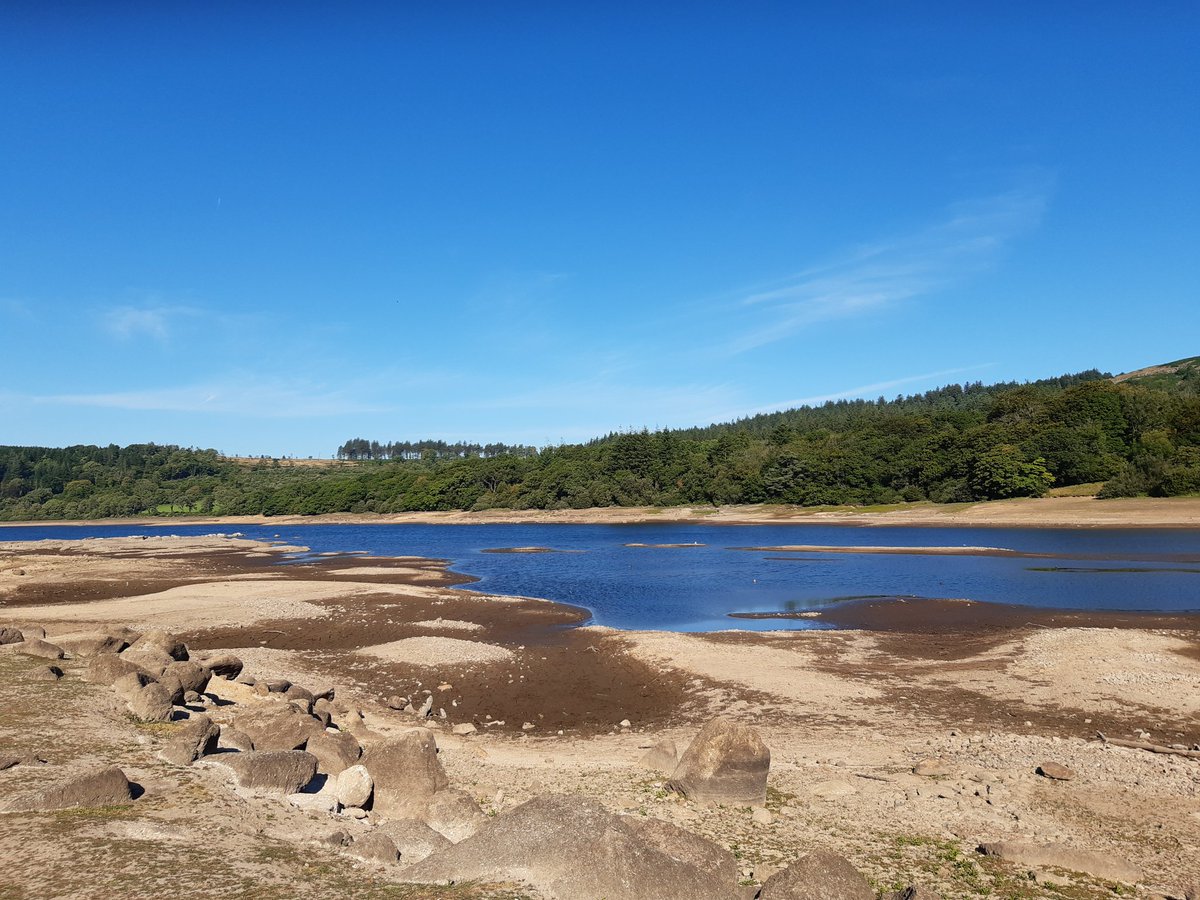 sum_holly's tweet photo. Thirsty Burrator, yesterday https://t.co/RYuy78ivq7