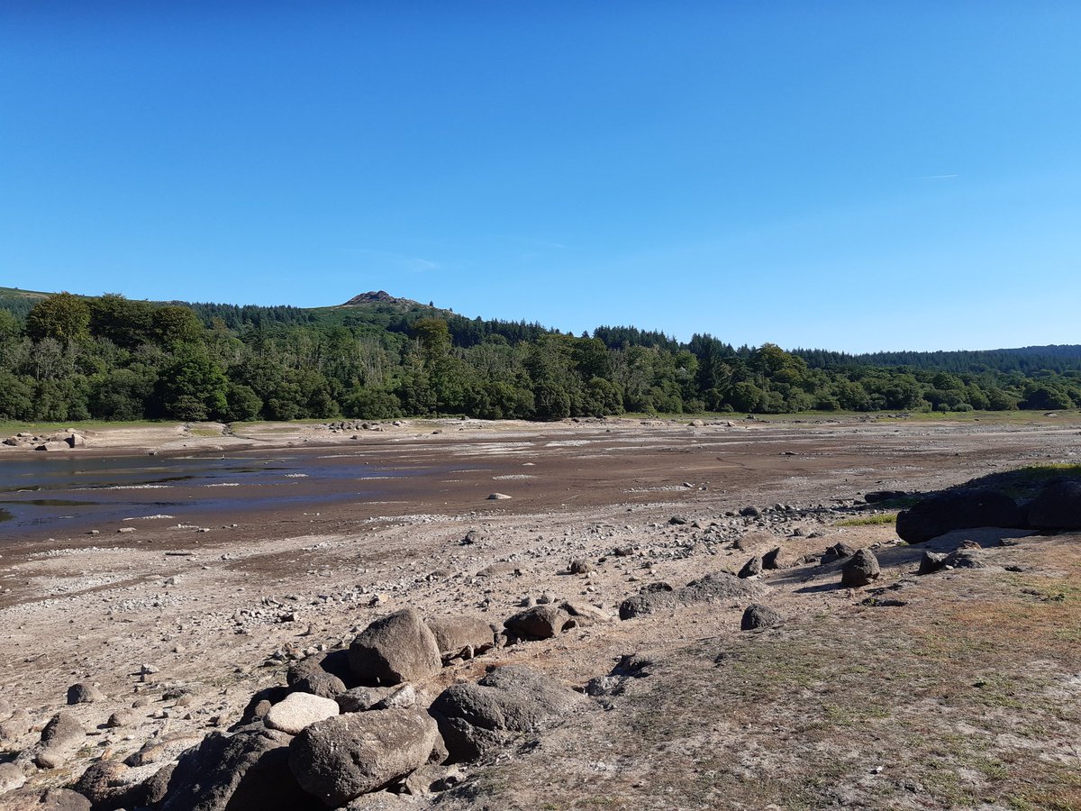 sum_holly's tweet photo. Thirsty Burrator, yesterday https://t.co/RYuy78ivq7