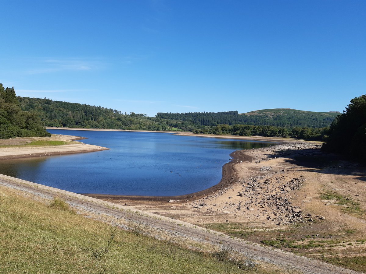 sum_holly's tweet photo. Thirsty Burrator, yesterday https://t.co/RYuy78ivq7
