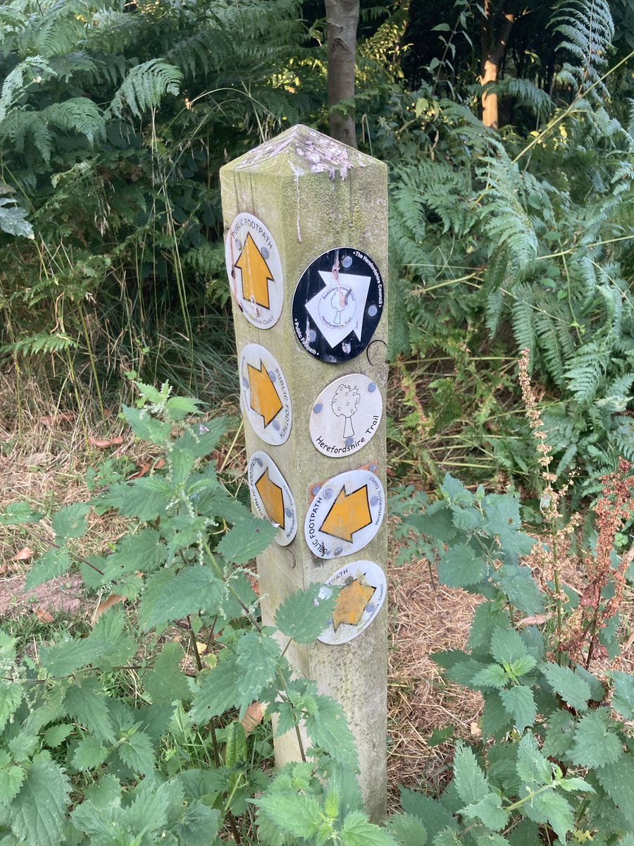 TakasakiAndy's tweet photo. Early morning shire ramble, Little Dewchurch to Kilpeck this time. A fair bit shorter than previous escapades in order for us to escape the heat of the day. 6 routes down, 9 more to go. #FollowTheApple #HerefordshireTrail https://t.co/nIDCb6Cy6g