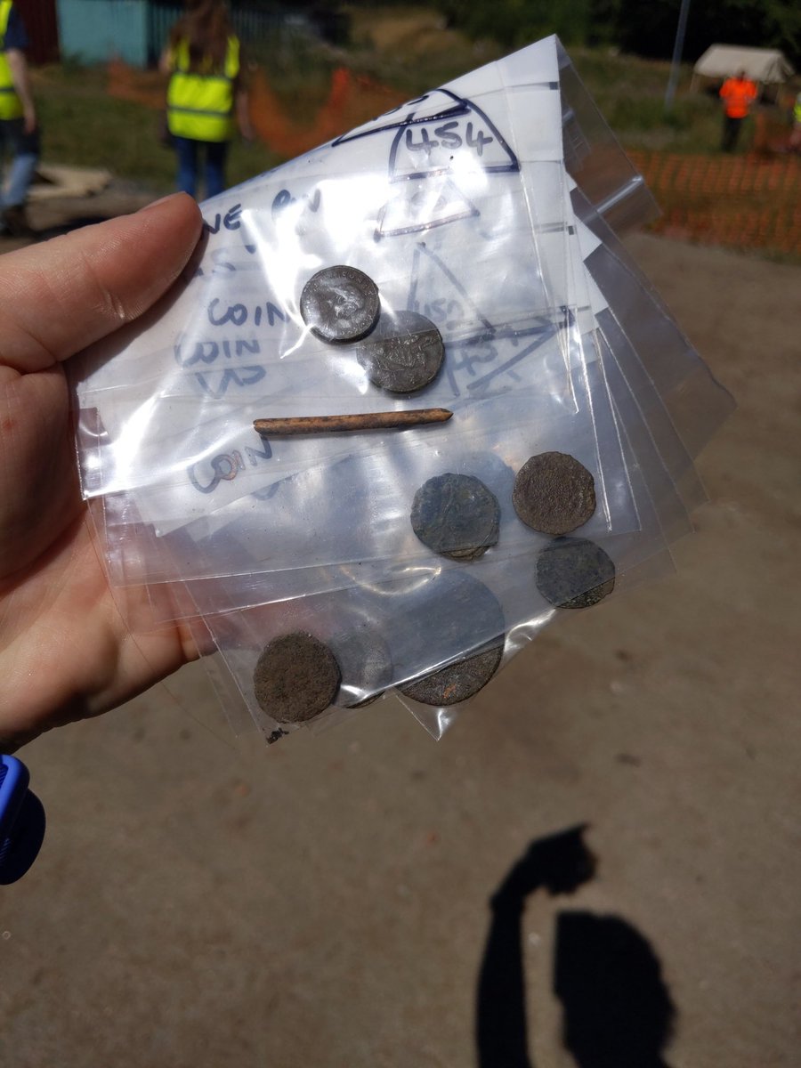 Dr Dot Boughton tweet media