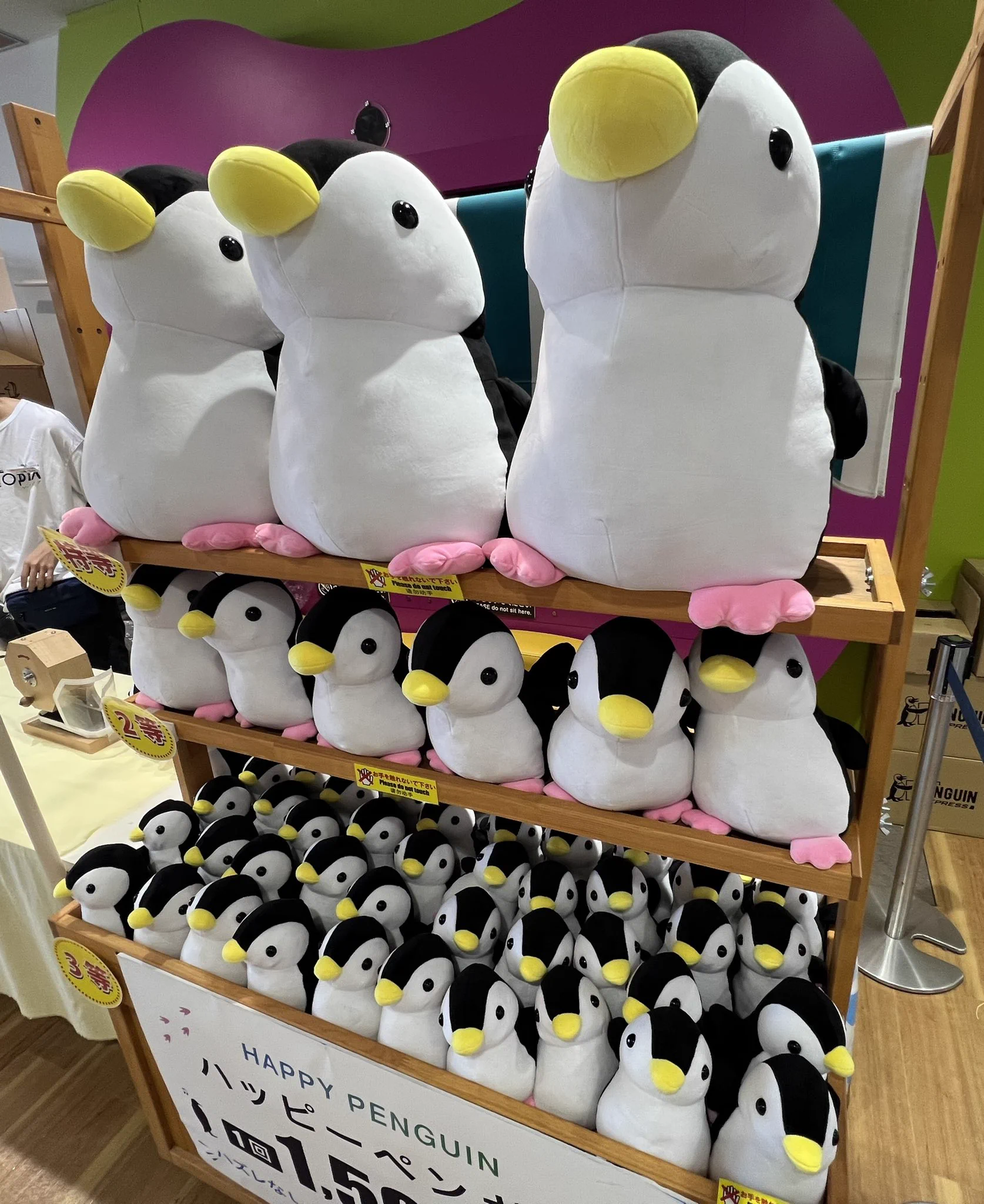 仙台うみの杜水族館公式 on X: 