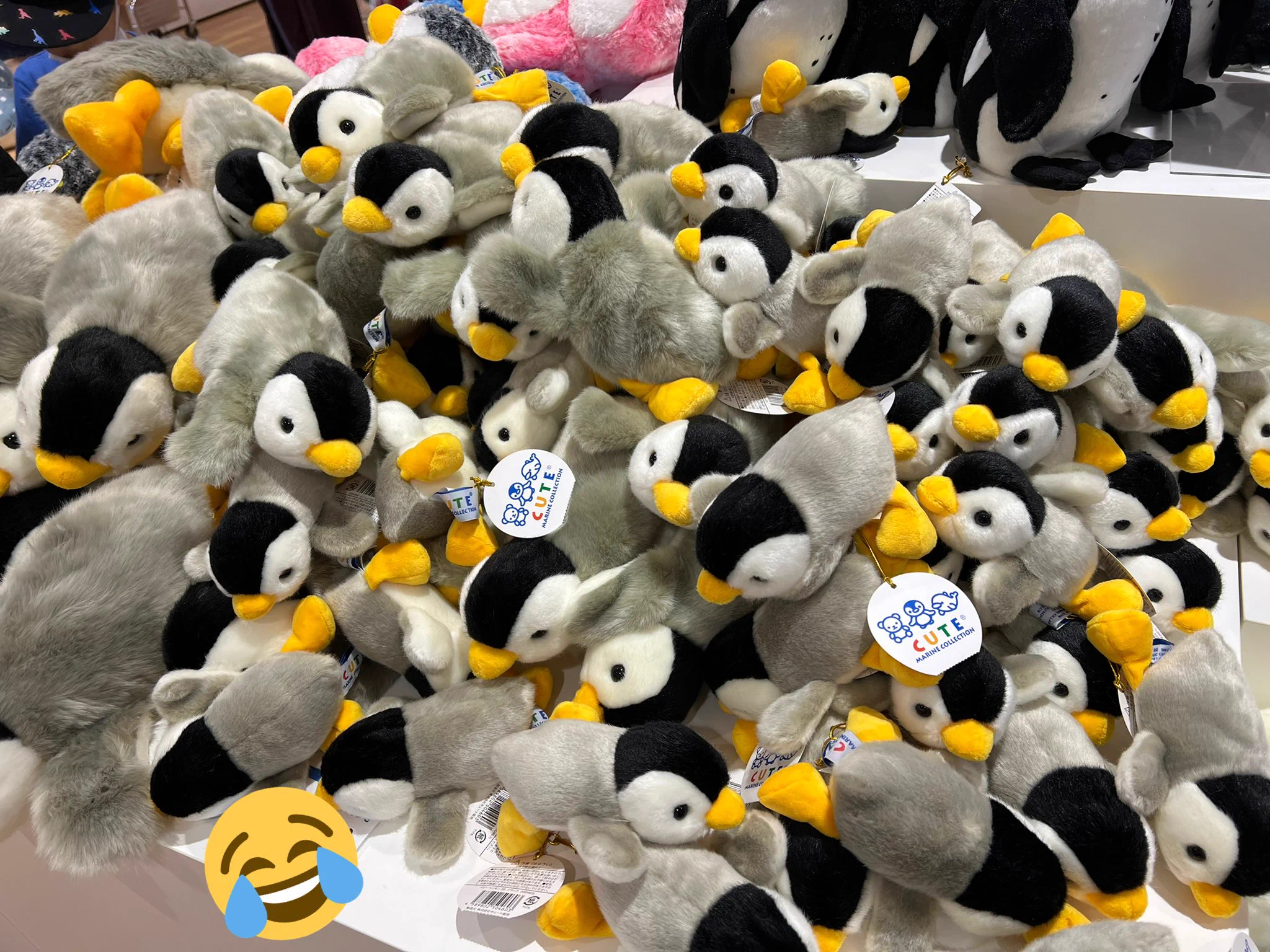 仙台うみの杜水族館公式 on X: 