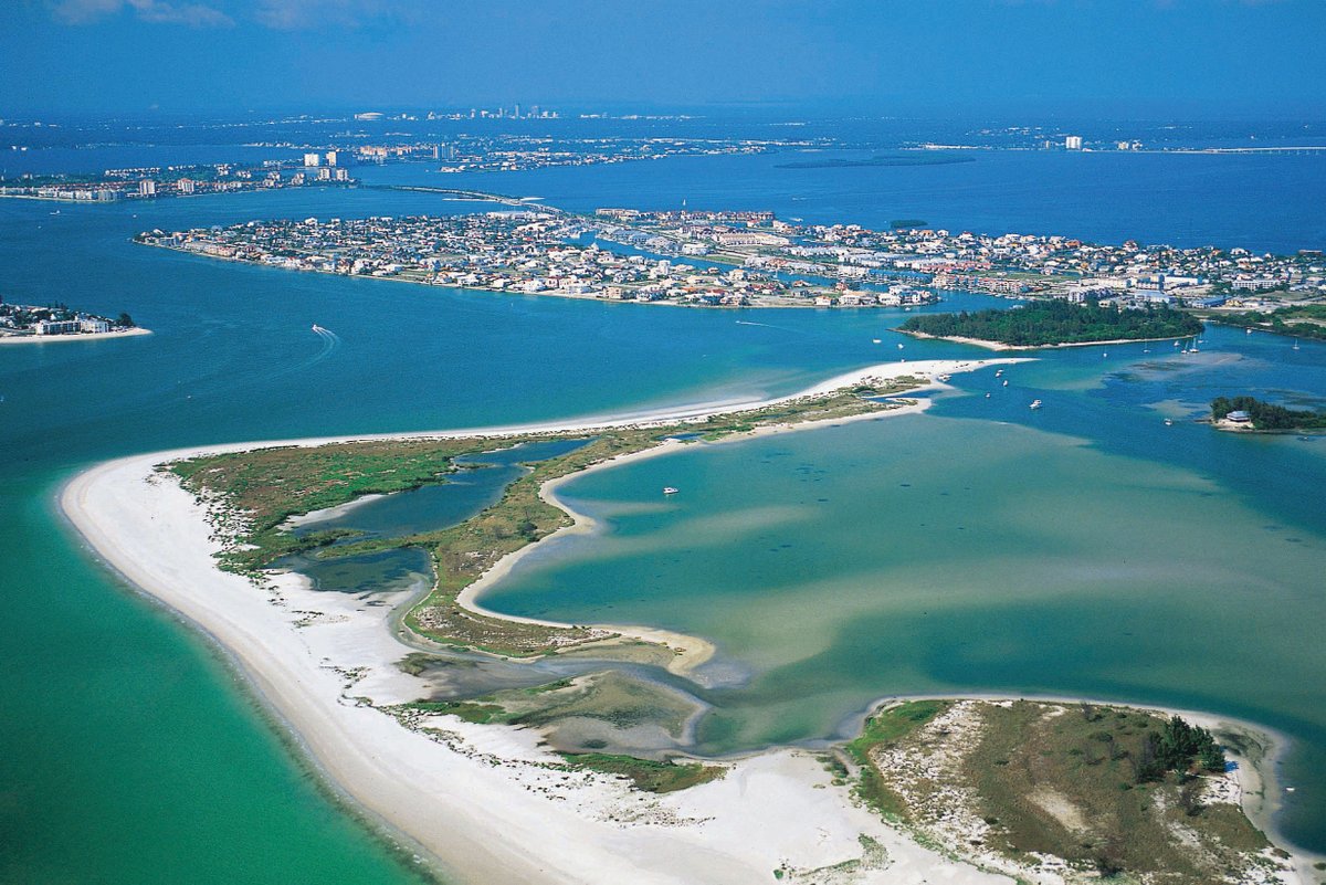 No better place for us to call home 🏝

#813Day | #TeamTampaBay | #HornsUp 🤘