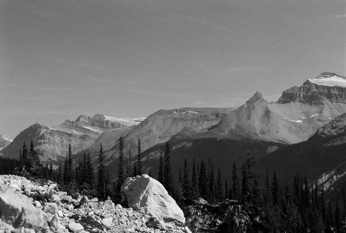 TimberTectonics's tweet image. View from the glaciers terminus on the Iceline hike at Yoho NP, Canada.

#geology #hike #yoho #canada