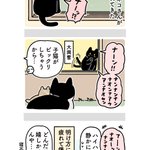 可愛くて癒される!愛猫のお友達の野良猫が子猫を連れてきてくれたお話を描いた漫画が話題に!