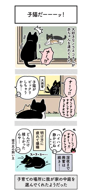 ろんさんの友だちのノラネコさんが赤ちゃん連れてきてくれた日記(4まいある) #ろんの絵日記 
