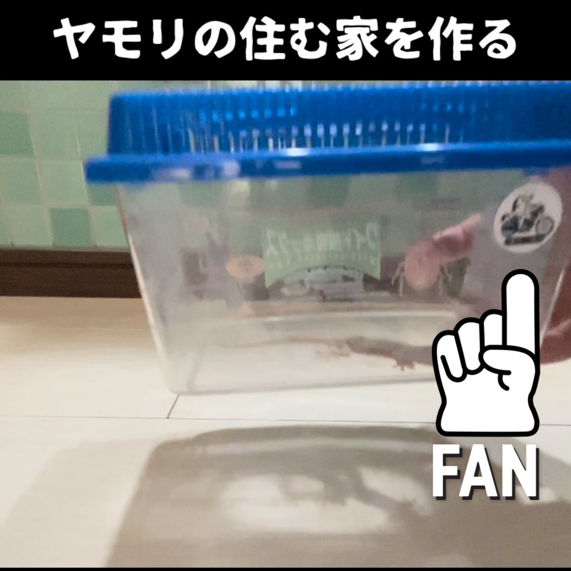 虫カゴにアイコンは貼ってある Twitter Search Twitter