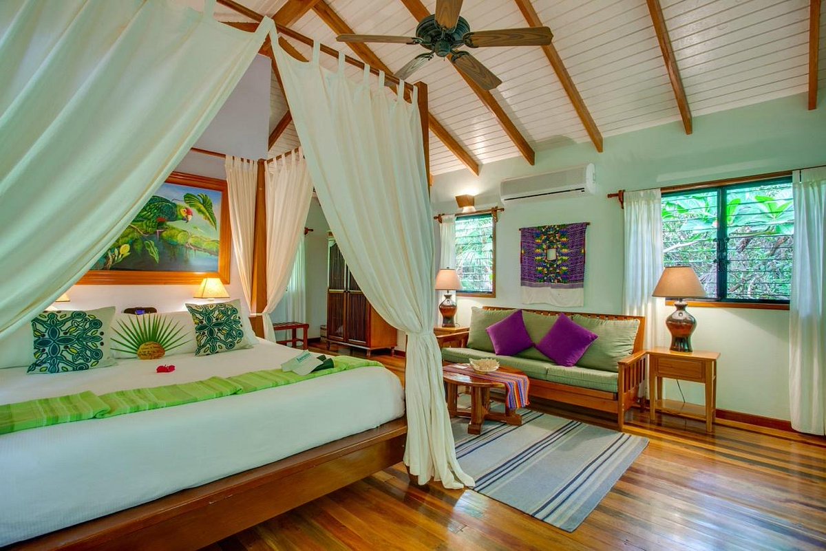 TheWorldsBestH1's tweet photo. The Top 25 Hotels In The World - From The Tripadvisor 2022 Travellers Choice Ratings: 8. Hamanasi Adventure and Dive Resort, Hopkins, Belize https://t.co/TS2bDPdhUV #Belize #diveresort #hopkins https://t.co/wKsevJlpzt