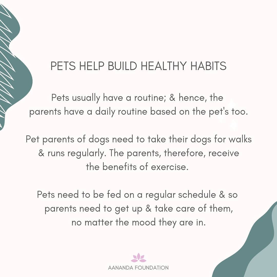 AanandaFDN's tweet photo. Read More : https://t.co/mNMOgNINgh

#pets #petsandhealth #mentalhealth #physicalhealth #unconditionallove #aananda #aanandafoundation #happiness #impact #caringforlivingthings #socialconnection #petroutine #oxytocine #lovehormone #dopamine #feelgoodhormone #petparents https://t.co/F8EHOK0BR8