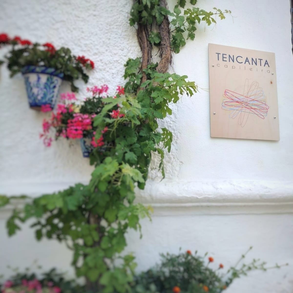 TAlpujarra's tweet photo. Decimos adiós 👋 a nuestro antiguo cartel de #Tencanta con mucho cariño y agradecimiento. Ahora comenzamos una nueva fase, como pájaros que emprenden vuelo. 🦅 Aquí han de caber #artesanos, #artesanas y artistas del mundo. 🌎🌍🌏 
🌳 #Repoblar, 🌍 #Sostener, 👗 #Crear #Capileira https://t.co/p4zjpyktrC
