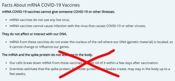 CDC Quietly Removes Statement that Says “mRNA and the Spike Protein Do Not Last Long in the Body” from Their Website FaCfbh3XgAUsArK?format=jpg&name=small