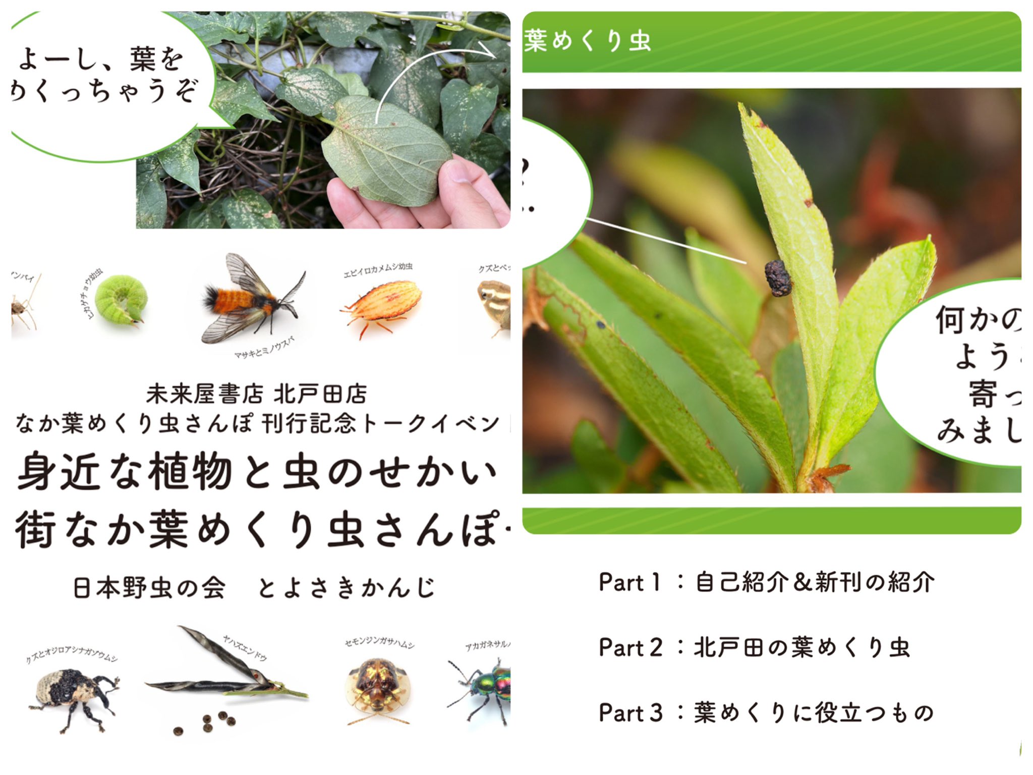 تويتر 日本野虫の会 重版決定 على تويتر 3回のトークイベントのスライド アプローチと内容を変えて新規で作っているおれ えらい
