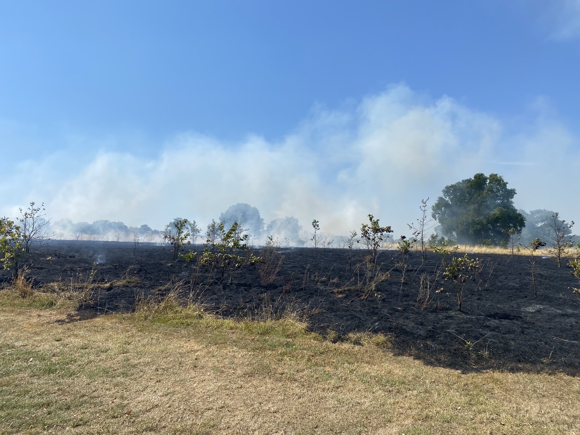 Your Harlow on Twitter "We are at scenes of field fires off Commonside