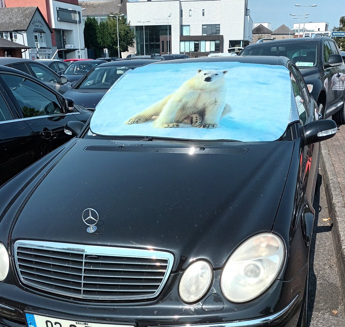 People need to be mindful of animals on such hot days!