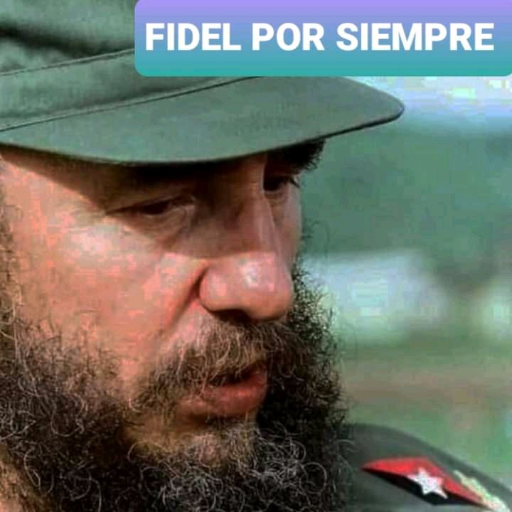 ee_celia's tweet photo. Saliste, llegaste y triunfaste mantendremos su legado, y te recordaremos por siempre comandante #dmeguamá #dpestgodeCuba https://t.co/HIR7fdKIEP