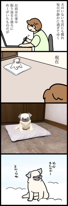 おかえり～ 