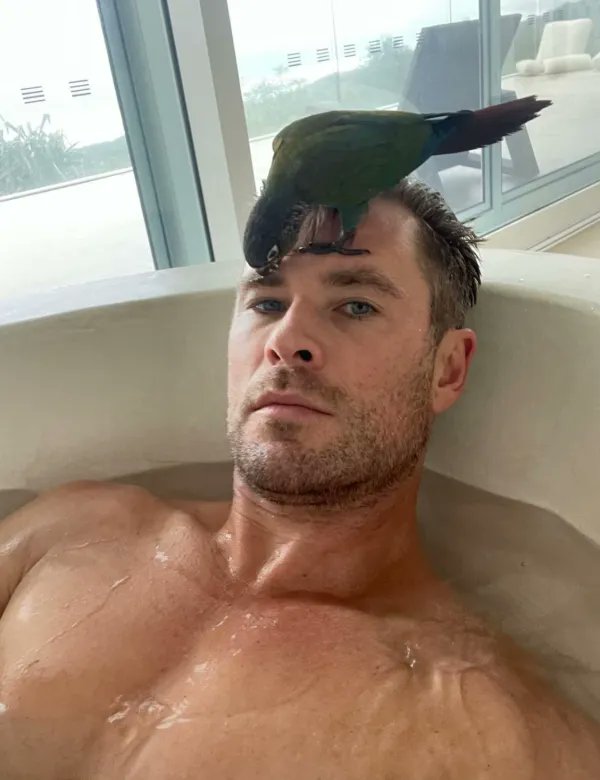 Happy birthday Chris Hemsworth!  via 