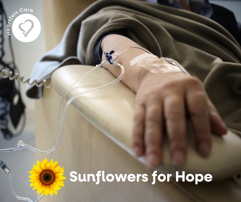 ourSTEGH's tweet photo. Donna felt a lump while doing a breast self-exam and is currently fighting breast cancer. Read Donna's full story and support the Sunflowers for Hope Chemotherapy fundraiser https://t.co/tCw350A5Aw @jcurtis7ac
#SunflowerPower #STEGHFoundation #STEGH https://t.co/PT7m07Kan1