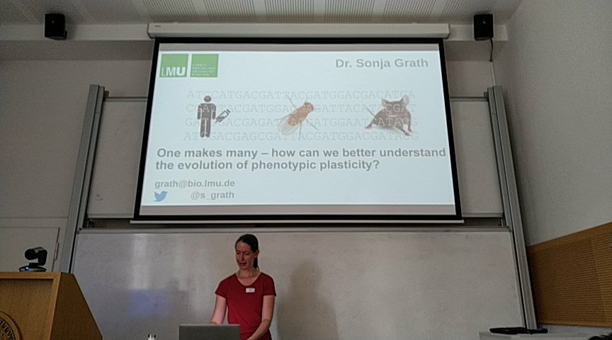 Dros_EU's tweet photo. Sonja Grath @s_grath is our second invited speaker of the day. How can one genome give rise to such a huge variety of phenotypes? https://t.co/6FoJfTDBrH