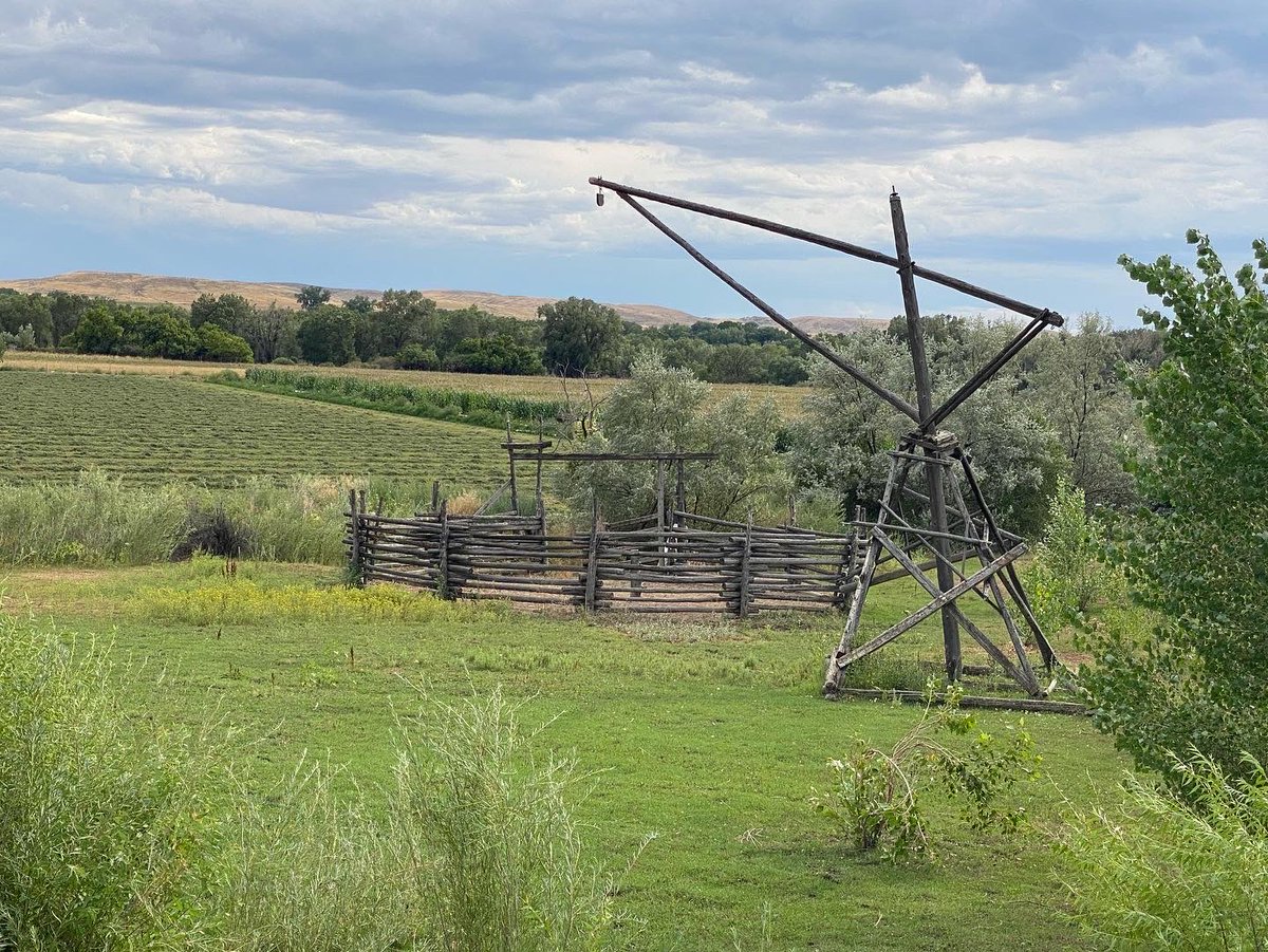 Can anyone tell me what this is and what it’s used for?