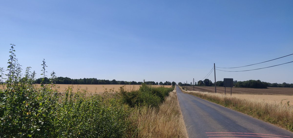 SamuelFurse's tweet photo. Cycled from Braintree to Cambridge today to catch a train back to London. The land is so dry! #England #Drought #OhBugger https://t.co/iPVfVMDHQq
