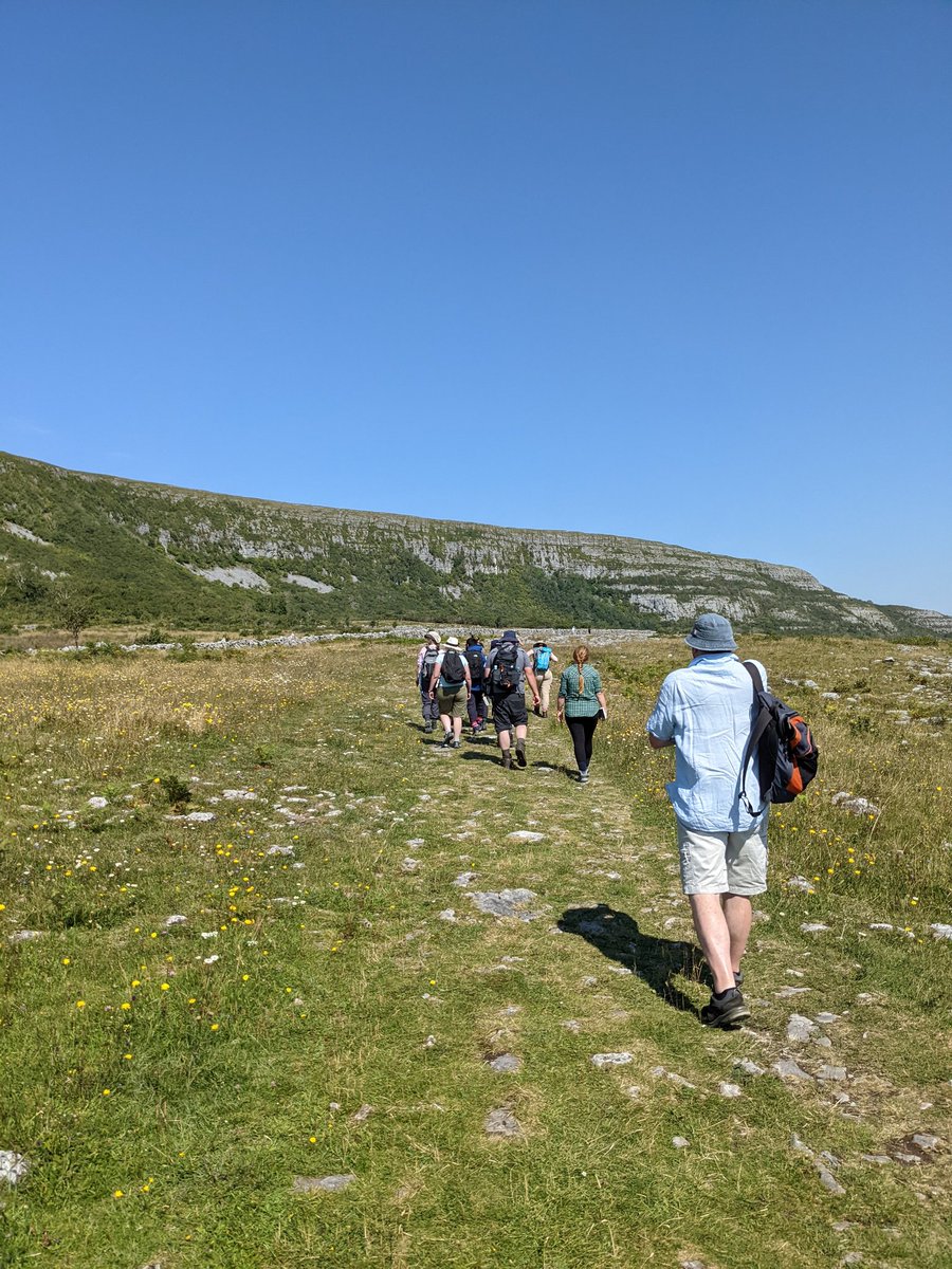 sallyannsbags's tweet photo. Fabulous #irishgrasslands walk in @visitBurren with @mjpmarron Learning so much #handlens #wildflowers #grasses https://t.co/zEErQ2jawl