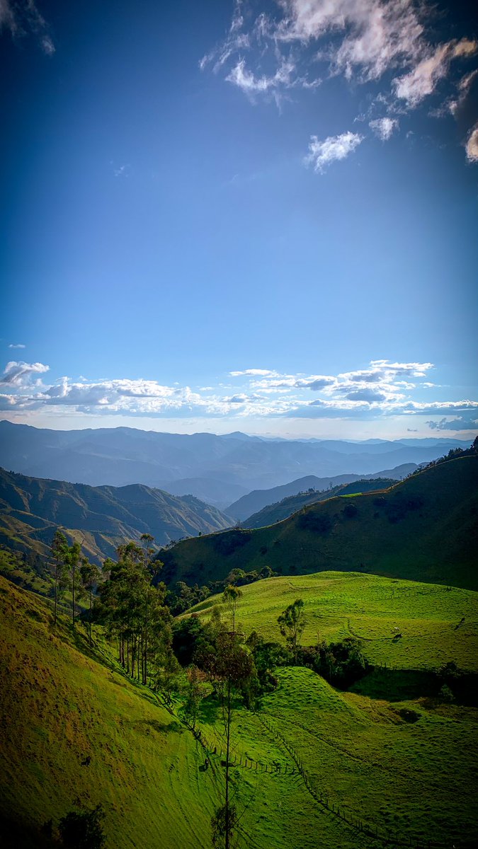nacalderon1's tweet photo. Las Achiras #Loja #Ecuador mágico. 

#metodocolambis #mtbloja #bbt https://t.co/DMqNHPnfqO