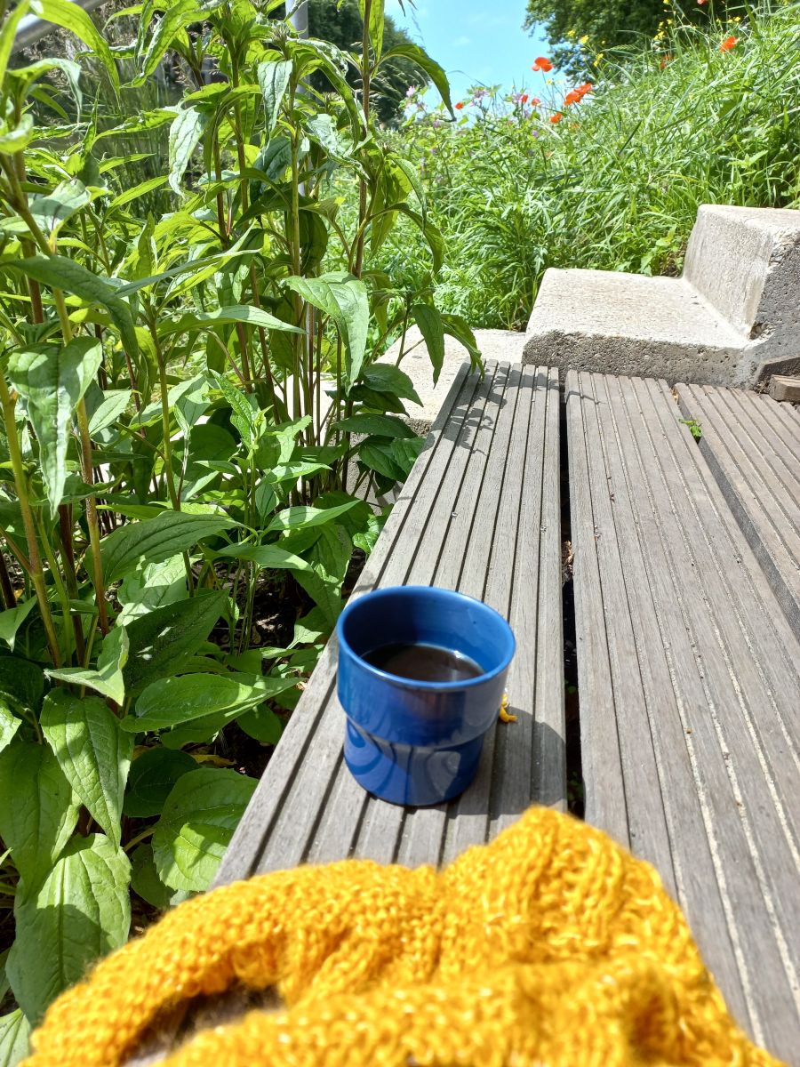 breigarenDB's tweet photo. Haken op vakantie! - https://t.co/ftl8J6e35A
Breien of haken op vakantie, doen jullie dat ook? Niet te grote projecten, maar kleine dingen, onder een parasol, met iets te drinken.
#vakantie #breigarendenbosch #haken #breien #parasol https://t.co/4eQIEx4kaS