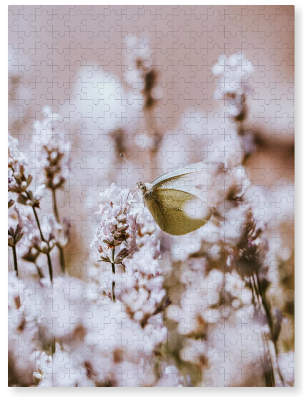 SonnekVaclav's tweet photo. Wonderful Pieris rapae! Image you can use like pillow, puzzle, print and many others! Just click here and choose:)
https://t.co/tcWeEx7pTA
#NaturePhotography #NatureBeauty #naturelovers #butterflycount #outdoor #mountains #Folklore #pillowsession #FlowersOnFriday #wallartforsale https://t.co/CCVXqNVaEj