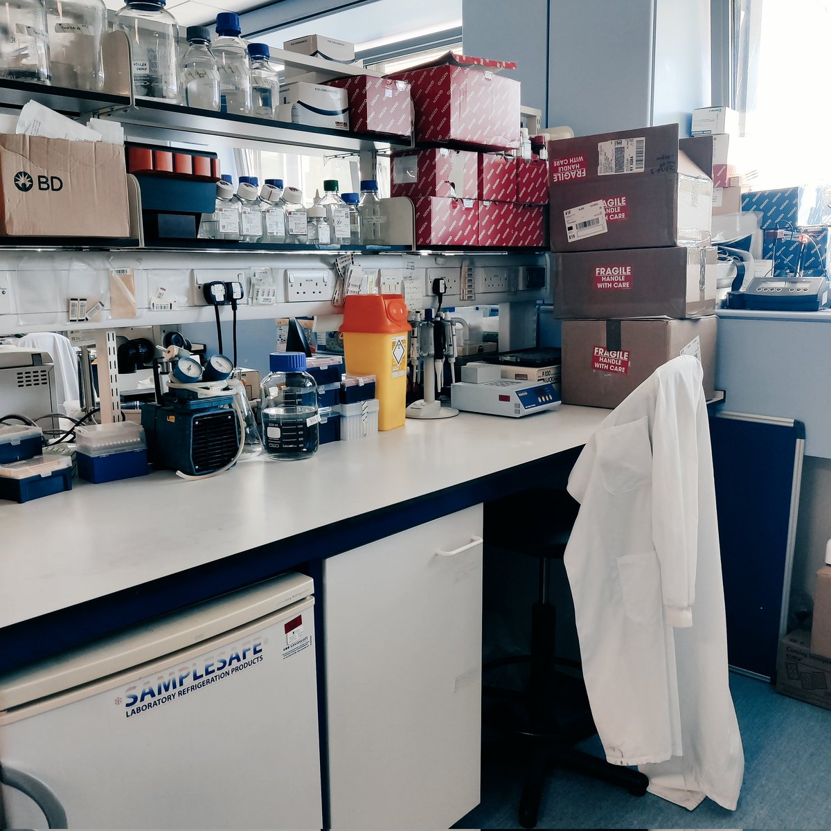 That's a wrap for now. Away from science for a while. 🙃