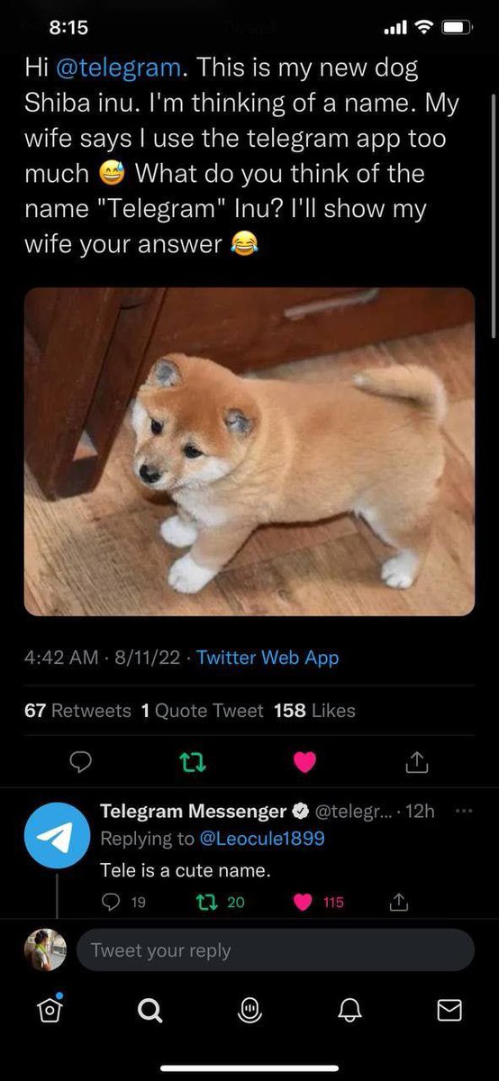 COREY 🏴 tweet media