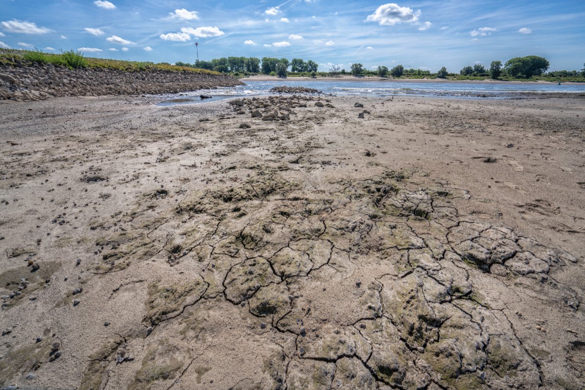wsrivierenland's tweet photo. Het is droog en heet 🥵 in Nederland. Ook in het rivierengebied. Het waterschap neemt maatregelen om de gevolgen van droogte tegen te gaan. We roepen iedereen op om zuinig te zijn met water. Op de hoogte blijven? Kijk op onze blog 👉 https://t.co/T27R9d9hEu #droogte https://t.co/ncQLOUkgM9